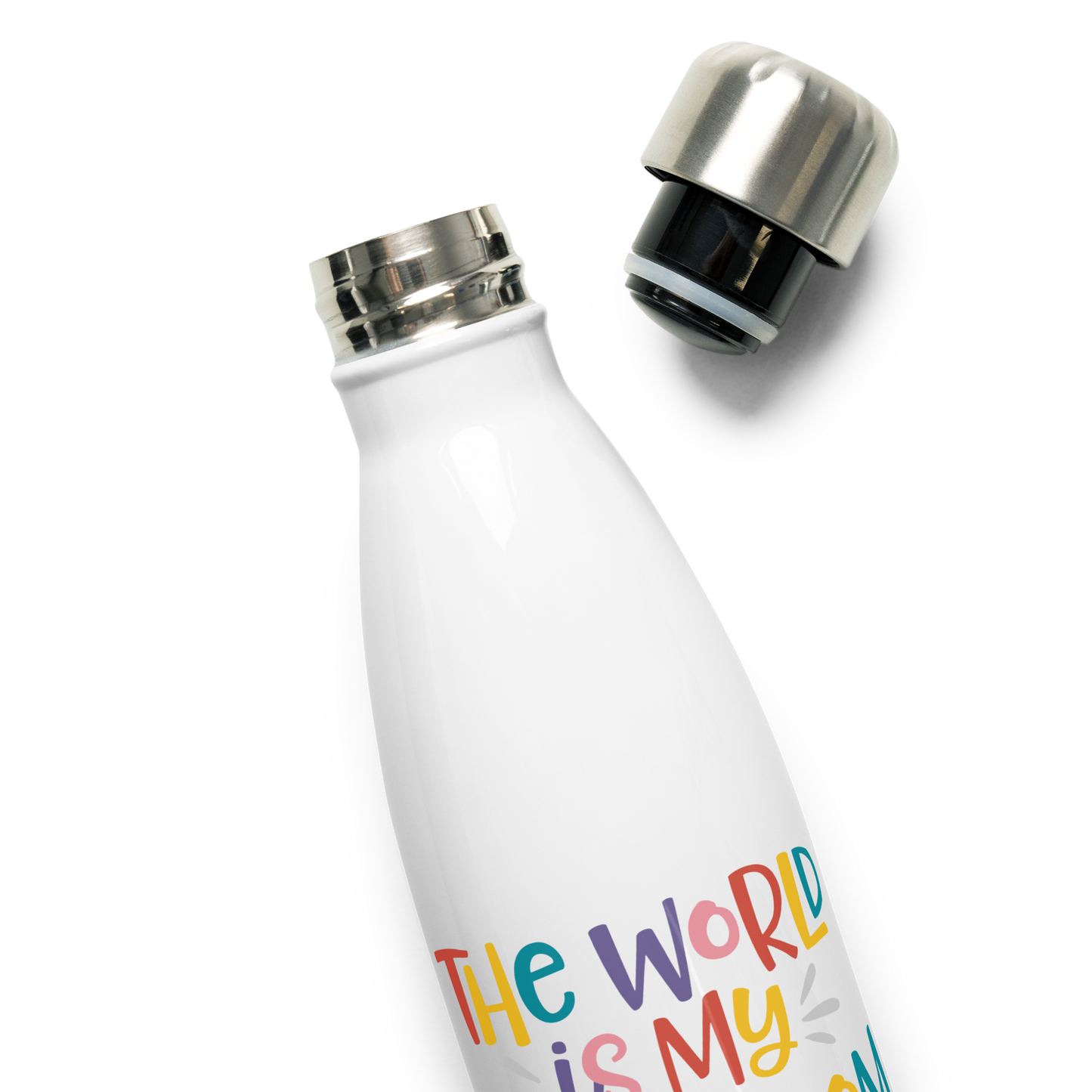 The World Is My Classroom | Stainless Steel Water Bottle