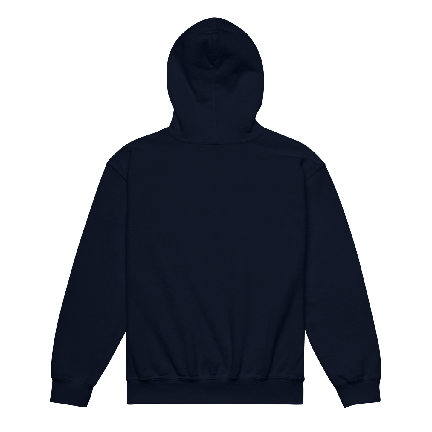 Field Trips Hoodie | Youth Sizes