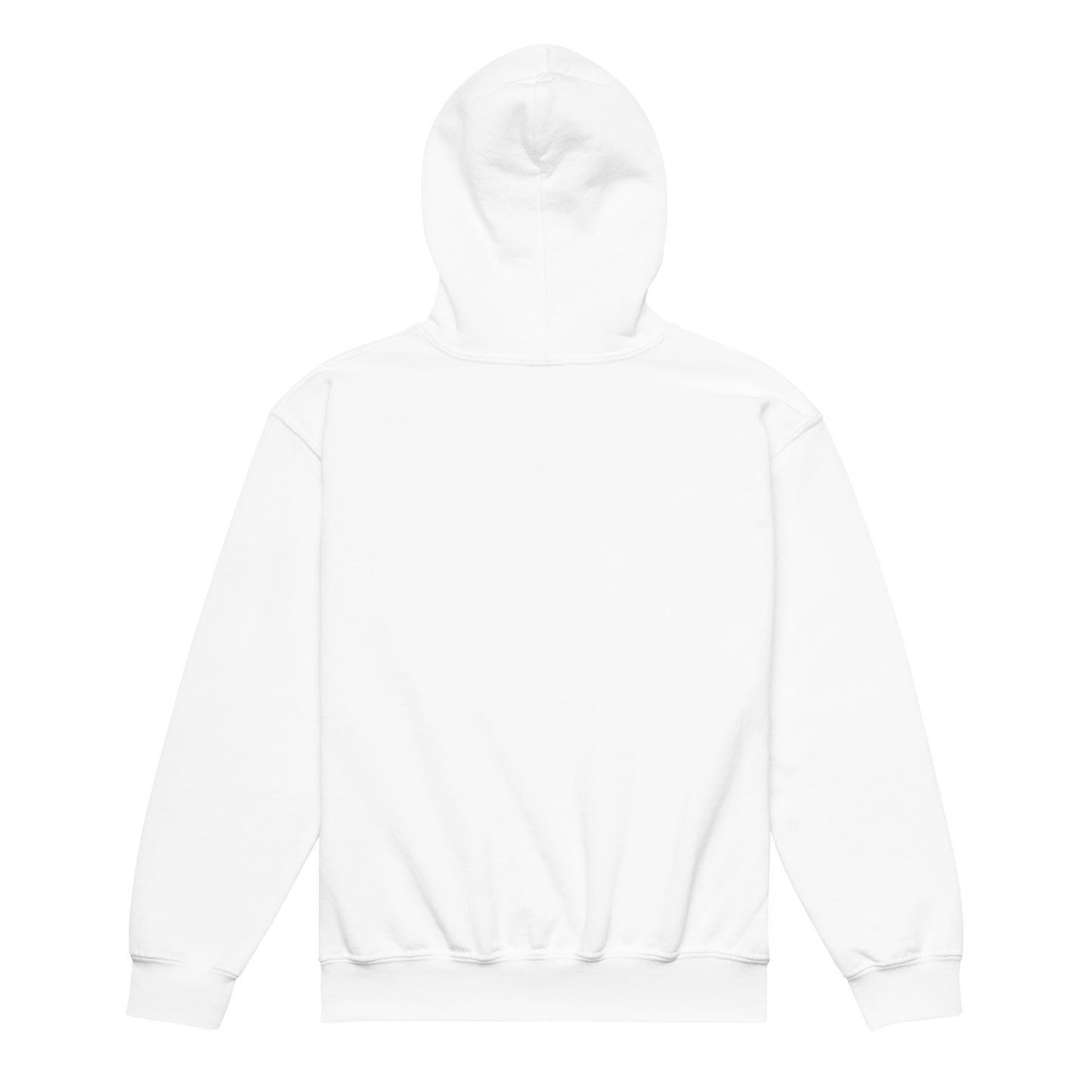 Field Trips Hoodie | Youth Sizes